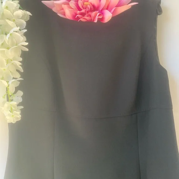 5 ⭐️TAHARI x Larry Levin 🔝 Style& Quality, Empire Waist princess seams - Picture 7 of 16